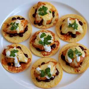 8 Piece Adobo Chicken Tostaditas