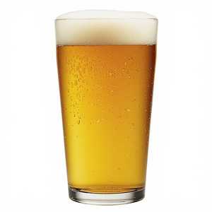 Fiddlehead IPA