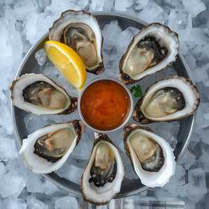 Oysters