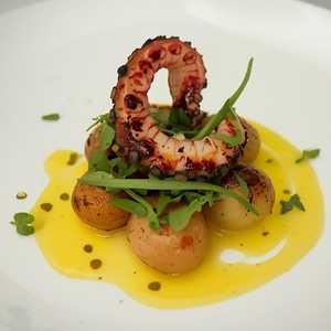 Grilled Octopus