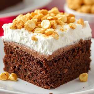 Flourless Chocolate Smores Cake