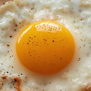 Fried Egg