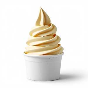 Small Ice Cream Cup