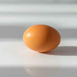 Egg