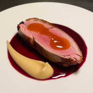 LI Crescent Duck