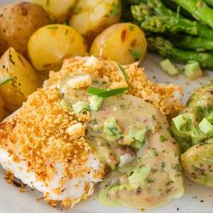 Atlantic Cod