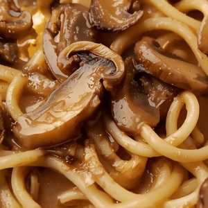UDON NOODLES