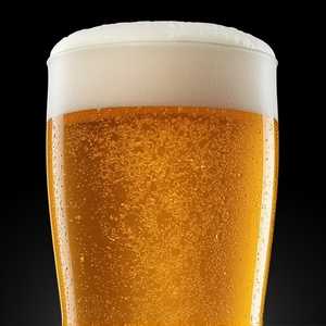 Senate Lager