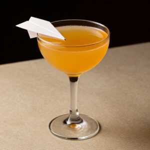 PAPER PLANE