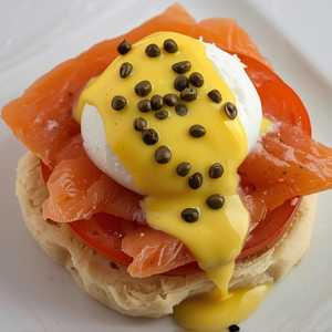 Salmon