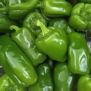 Side Of Serrano Peppers