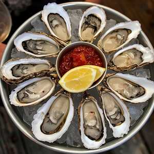 Oysters