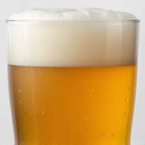 Fort Point Villager IPA