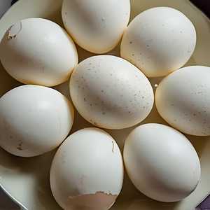 Quail Egg