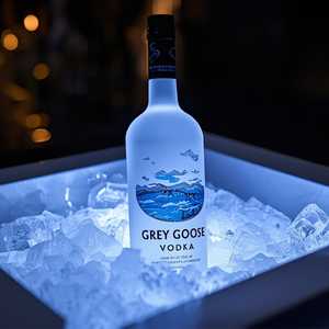 GREY GOOSE