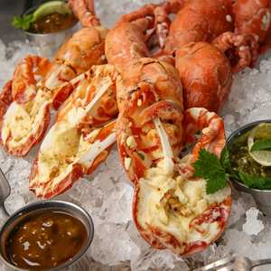 Chilled Maine Lobster