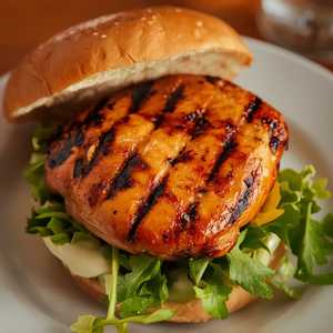 Grilled Chicken Breast Burger