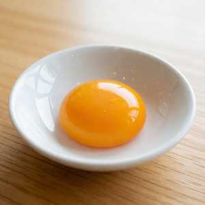 Egg Yolk