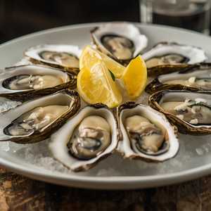 Oyster of the Day