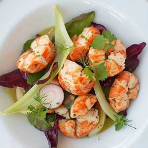Lobster Salad