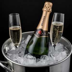 Wine Bottle / Champagne