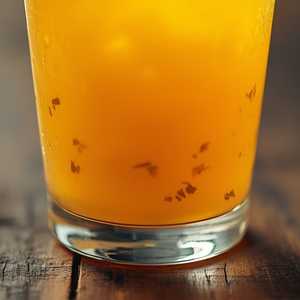 FRESH SQUEEZED ORANGE JUICE (Small)