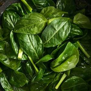 Wilted Spinach