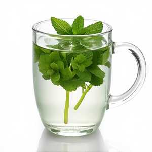 Fresh Mint
