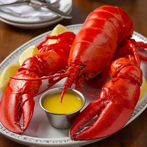 Steamed Lobster