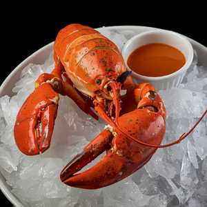 Chilled Maine Lobster Cocktail