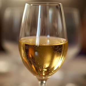 Bourgogne Chardonnay \"Les Vielles Collines,\" FR