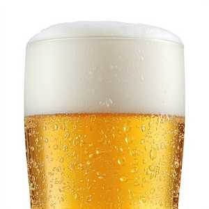 Bud Light