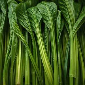 Stir Fried Chinese Broccoli