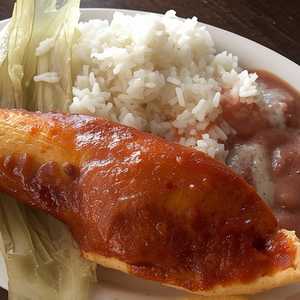 Enchilada & Tamale