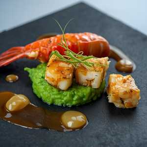 Maine Lobster