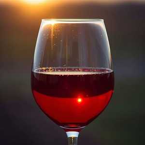 Pinot Noir, RouteStock, Sonoma Coast 2023