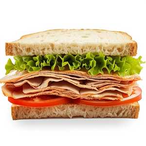 Roasted Turkey Sandwich