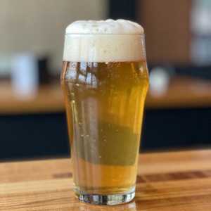 LAGUNITAS IPA