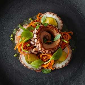 Pulpo Estirado