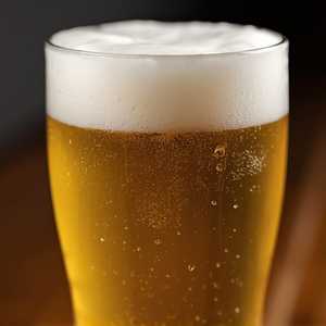 Bud Light / American Lager / 4.2% / St. Louis, Missouri