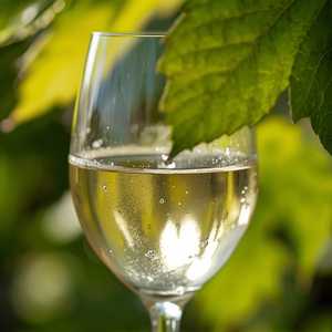 Sauvignon Blanc Cloudy Bay