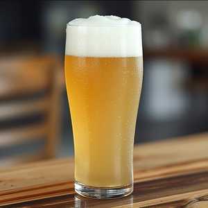 Castle Island, White Ale, 16oz, Boston, MA