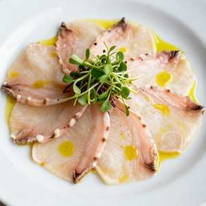 Sp Crudo