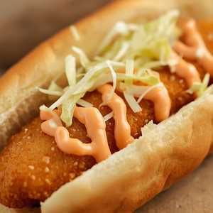 Fish Dog