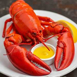 Lobster, Steamed