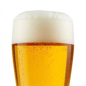 Harland Brewing Co. Japanese Lager