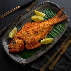 Red Snapper