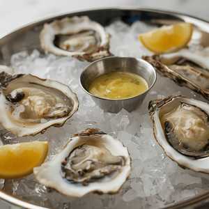 WILD OYSTERS