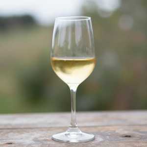 DOMAINE RIMBERT UGNI GLOU