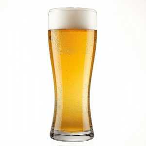 Modelo Especial